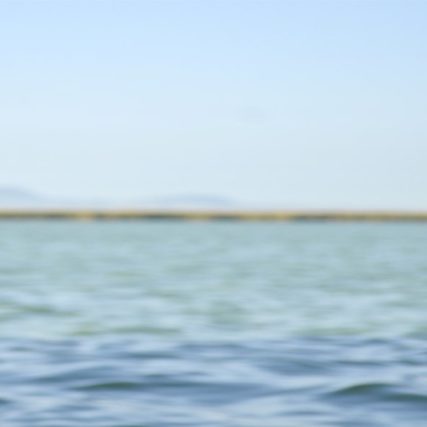 Retratos empresariales corporativos