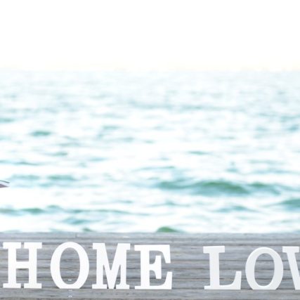 Retratos empresariales corporativos